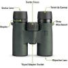 Vortex Optics Bantam HD 6.5×32 Youth Binoculars – HD Optical System, XR Lens Coatings, Rubber Armor, Tripod Adaptable, Waterproof, Fogproof, Shockproof – Unlimited, Unconditional Warranty